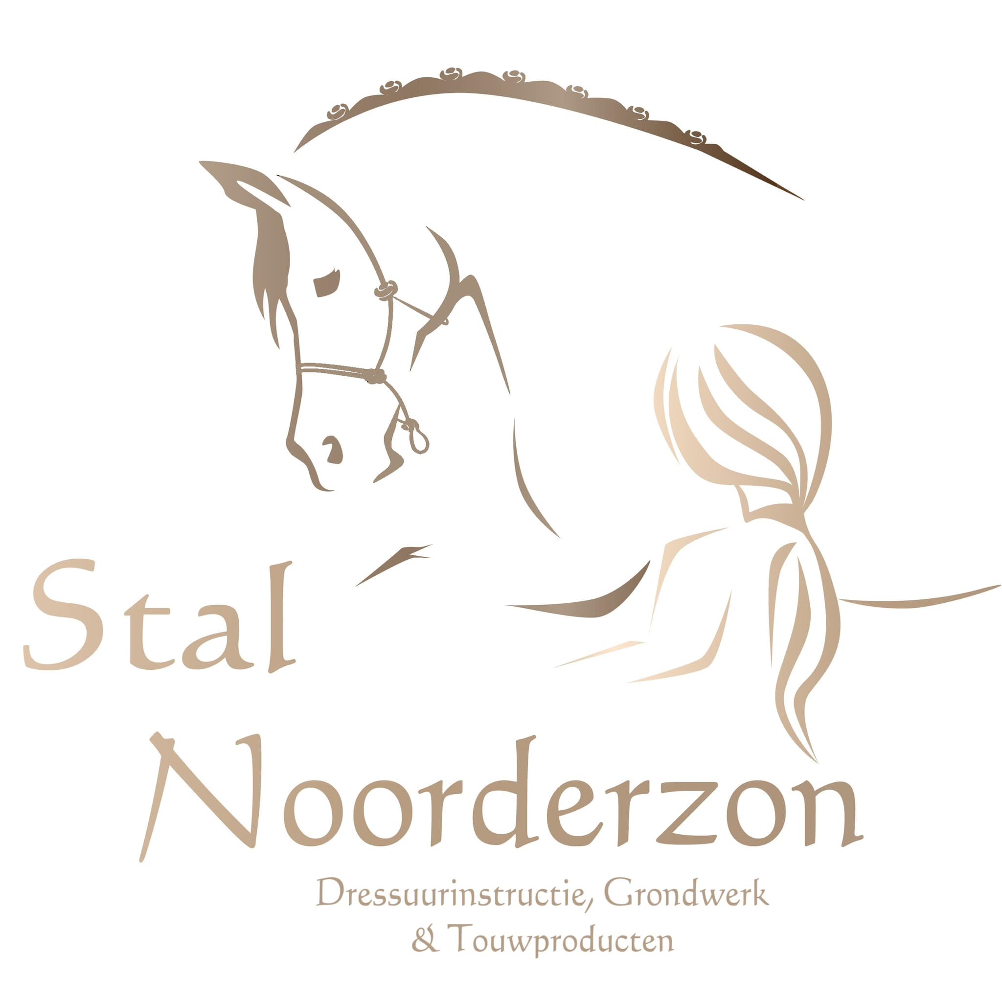 Horse Agility van Stal Noorderzon